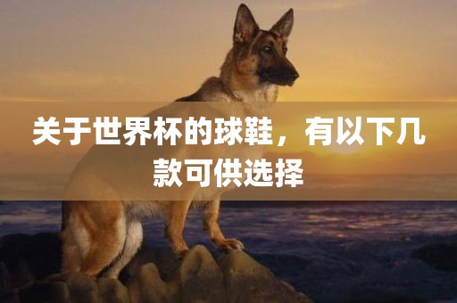 关于世界杯的球鞋，有以下几款可供选择