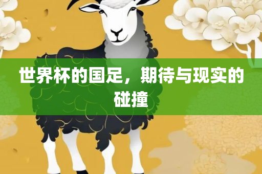 世界杯的国足，期待与现实的碰撞