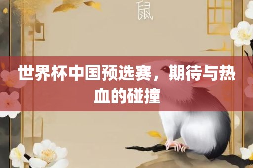 世界杯中国预选赛，期待与热血的碰撞