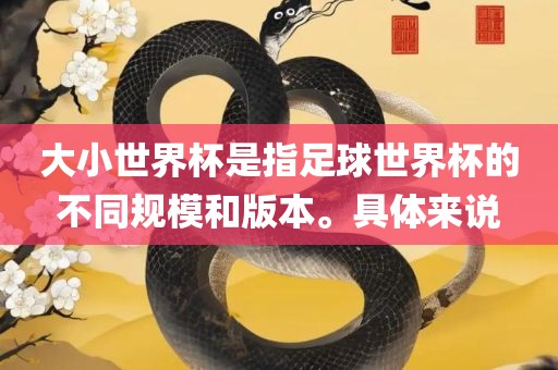大小世界杯是指足球世界杯的不同规模和版本。具体来说