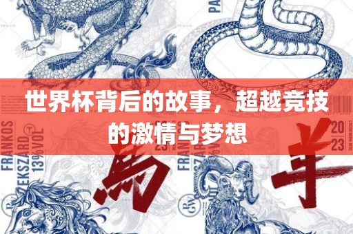世界杯背后的故事，超越竞技的激情与梦想