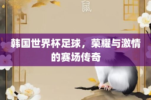 韩国世界杯足球，荣耀与激情的赛场传奇