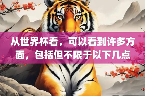 从世界杯看，可以看到许多方面，包括但不限于以下几点