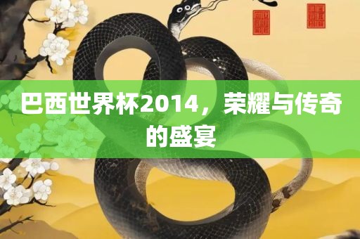 巴西世界杯2014，荣耀与传奇的盛宴