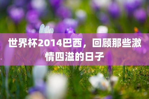 世界杯2014巴西，回顾那些激情四溢的日子