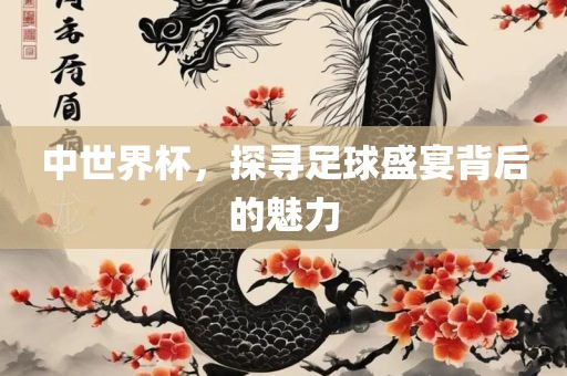 中世界杯，探寻足球盛宴背后的魅力