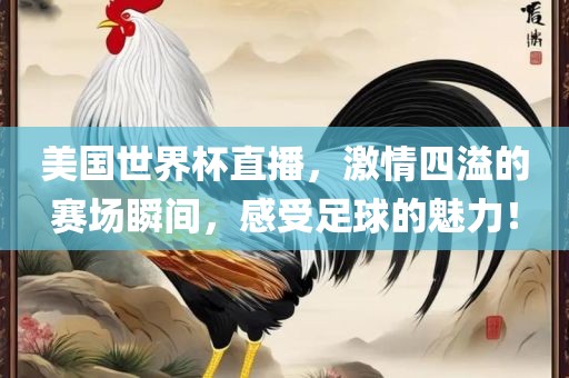 美国世界杯直播，激情四溢的赛场瞬间，感受足球的魅力！