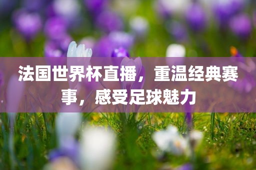 法国世界杯直播，重温经典赛事，感受足球魅力