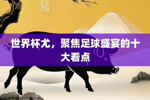 世界杯尤，聚焦足球盛宴的十大看点