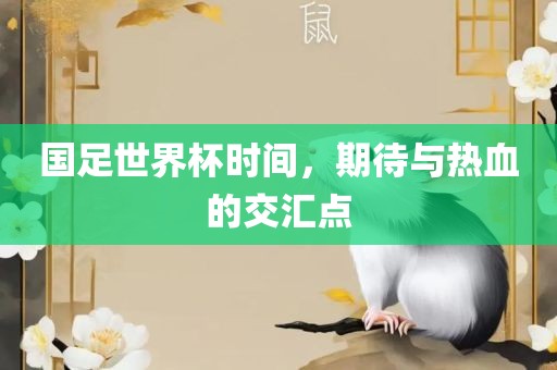 国足世界杯时间，期待与热血的交汇点