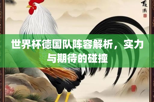 世界杯德国队阵容解析，实力与期待的碰撞