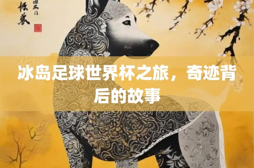 冰岛足球世界杯之旅，奇迹背后的故事