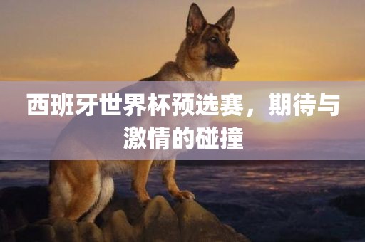 西班牙世界杯预选赛，期待与激情的碰撞