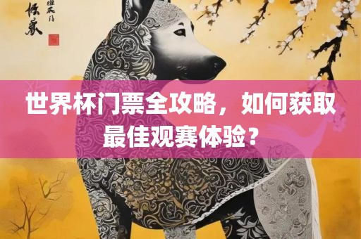 世界杯门票全攻略，如何获取最佳观赛体验？