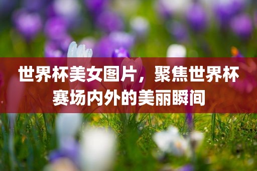 世界杯美女图片，聚焦世界杯赛场内外的美丽瞬间