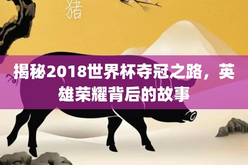 揭秘2018世界杯夺冠之路，英雄荣耀背后的故事