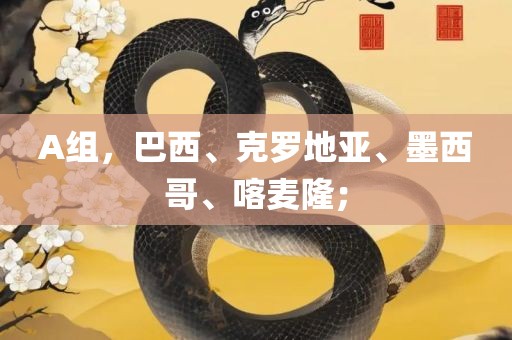 A组，巴西、克罗地亚、墨西哥、喀麦隆；