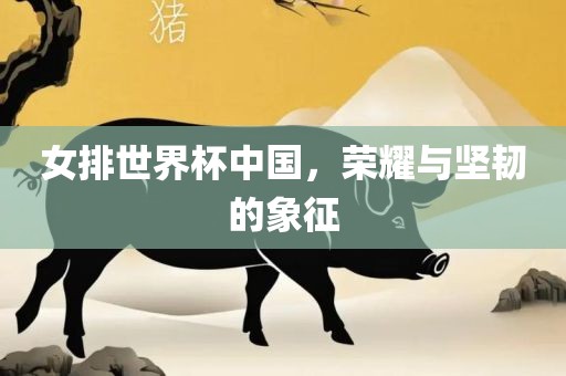 女排世界杯中国，荣耀与坚韧的象征