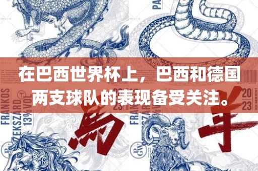 在巴西世界杯上，巴西和德国两支球队的表现备受关注。