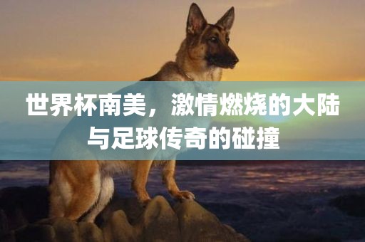 世界杯南美，激情燃烧的大陆与足球传奇的碰撞