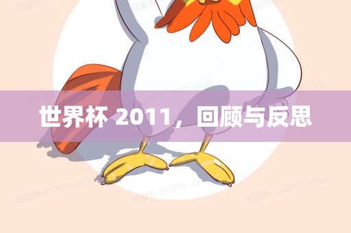 世界杯 2011，回顾与反思