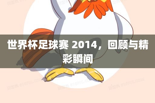 世界杯足球赛 2014，回顾与精彩瞬间