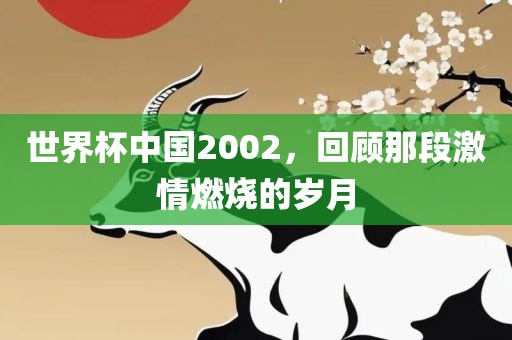 世界杯中国2002，回顾那段激情燃烧的岁月