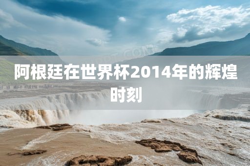 阿根廷在世界杯2014年的辉煌时刻