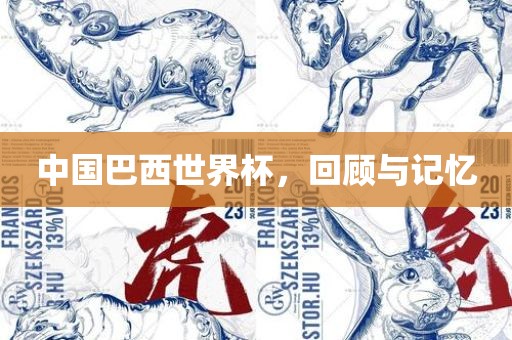 中国巴西世界杯，回顾与记忆