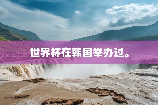 世界杯在韩国举办过。