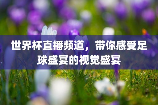 世界杯直播频道，带你感受足球盛宴的视觉盛宴