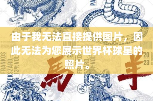由于我无法直接提供图片，因此无法为您展示世界杯球星的照片。