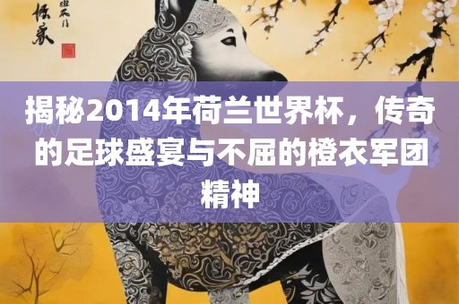 揭秘2014年荷兰世界杯，传奇的足球盛宴与不屈的橙衣军团精神