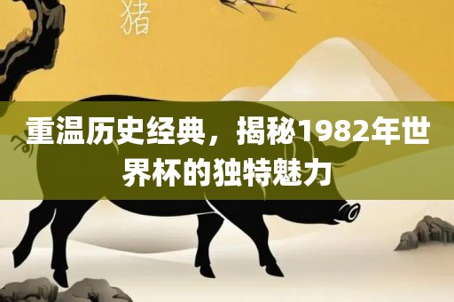 重温历史经典，揭秘1982年世界杯的独特魅力漯河市盈旭机械设备有限公司