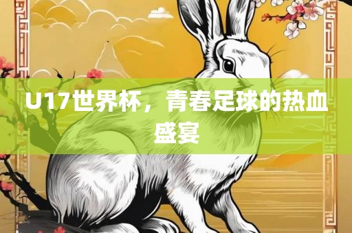 U17世界杯，青春足球的热血盛宴