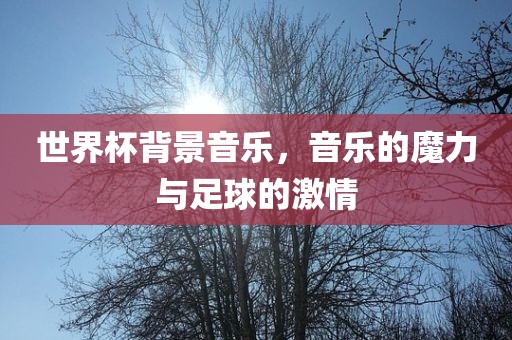 世界杯背景音乐，音乐的魔力与足球的激情