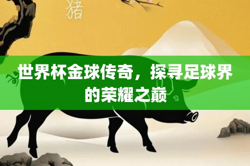 世界杯金球传奇，探寻足球界的荣耀之巅