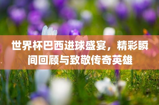 世界杯巴西进球盛宴，精彩瞬间回顾与致敬传奇英雄