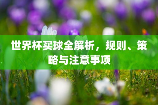 世界杯买球全解析，规则、策略与注意事项