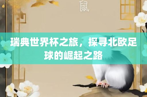 瑞典世界杯之旅，探寻北欧足球的崛起之路