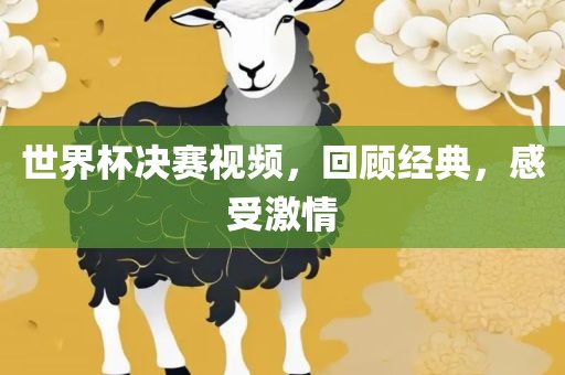 世界杯决赛视频，回顾经典，感受激情