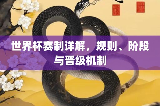 世界杯赛制详解，规则、阶段与晋级机制