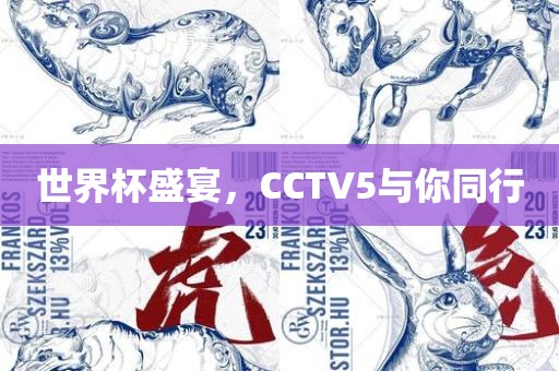 世界杯盛宴，CCTV5与你同行