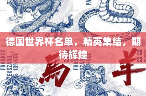 德国世界杯名单，精英集结，期待辉煌