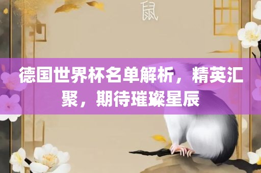 德国世界杯名单解析，精英汇聚，期待璀璨星辰