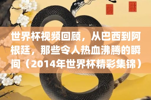 世界杯视频回顾，从巴西到阿根廷，那些令人热血沸腾的瞬间（2014年世界杯精彩集锦）