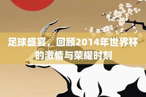 足球盛宴，回顾2014年世界杯的激情与荣耀时刻