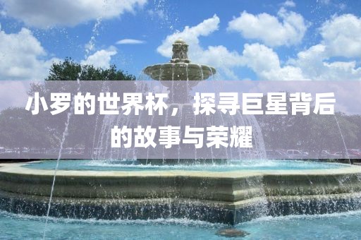 小罗的世界杯，探寻巨星背后的故事与荣耀