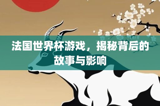 法国世界杯游戏，揭秘背后的故事与影响
