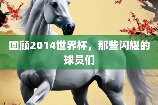 回顾2014世界杯，那些闪耀的球员们